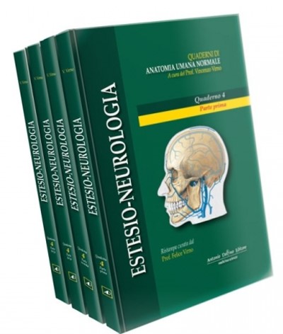 Estesio Neurologia - Collana Di Anatomia